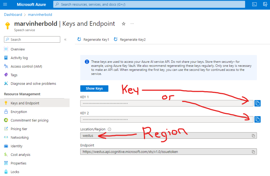 settings_speechtotext_keyandregion.png